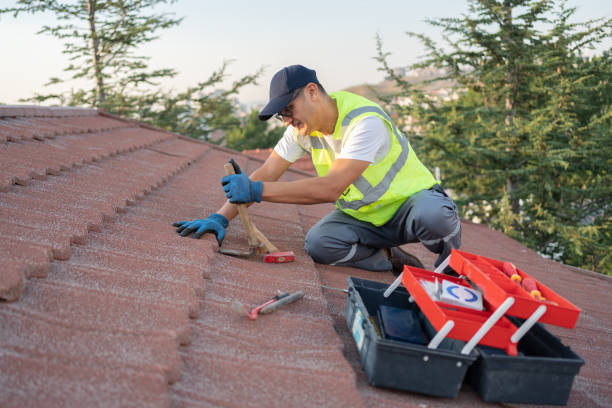 Best Metal Roofing Contractor  in Ofallon, IL