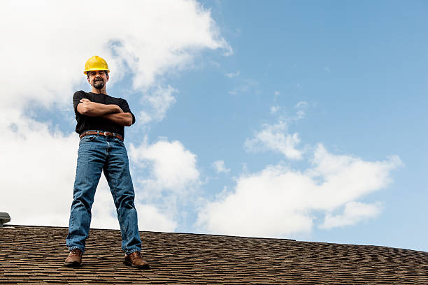 Best Roof Gutter Cleaning  in Ofallon, IL